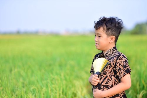 Free A young boy with a fan in a patterned shirt stands in a lush green field under a clear sky. Stock Photo