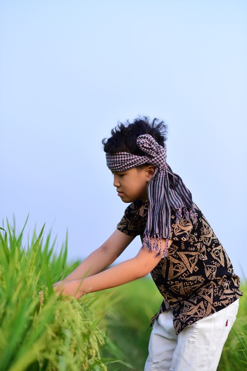 Boy Carry Rice Young Boy Harvesting Rice in Lush Field · Free Stock Photo