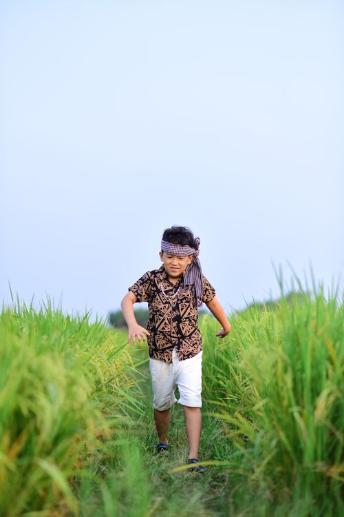 Free A child wearing traditional attire walks through a green rice field under a clear sky. Stock Photo
