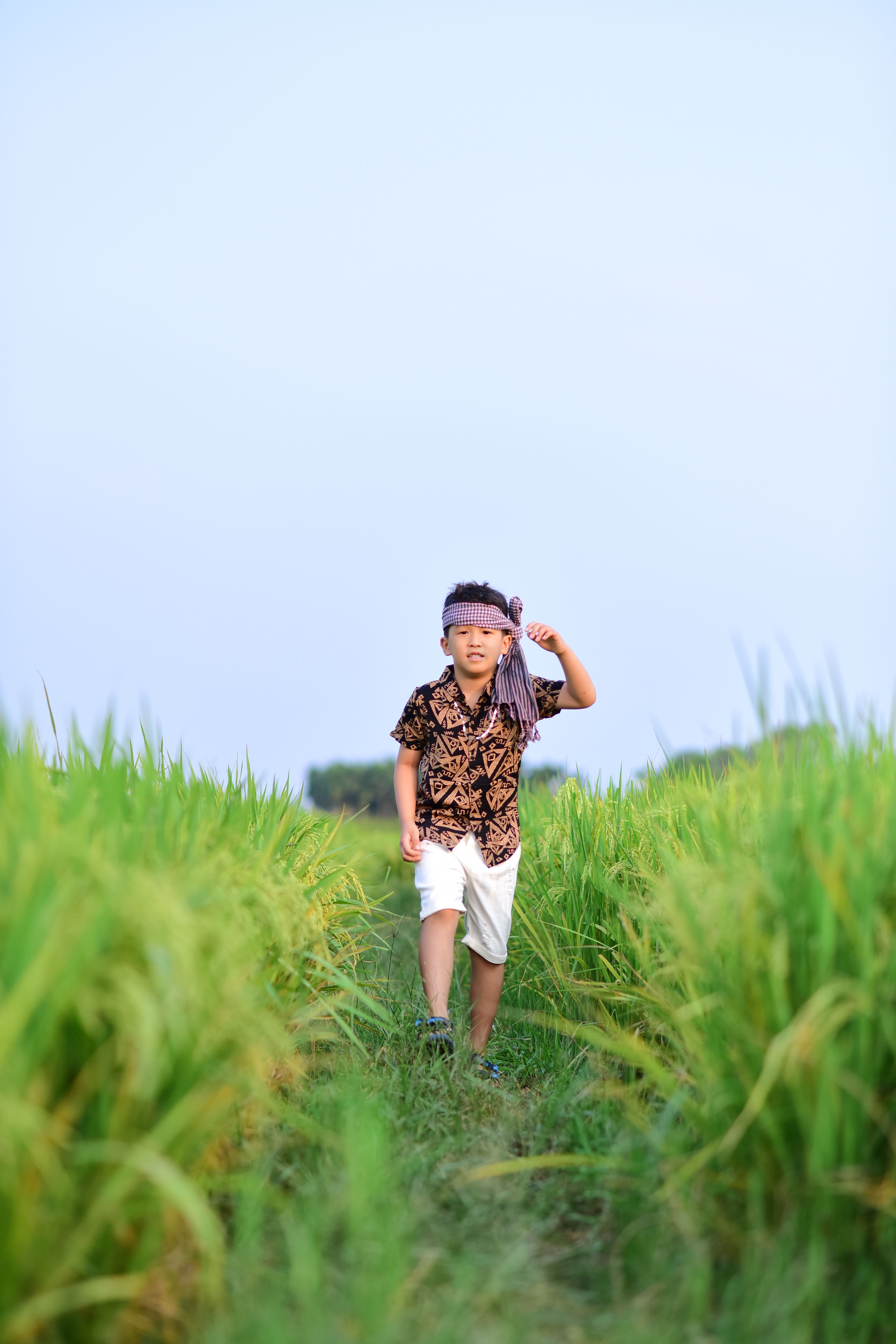 Young Boy Walking Through Lush Green Rice Field · Free Stock Photo
