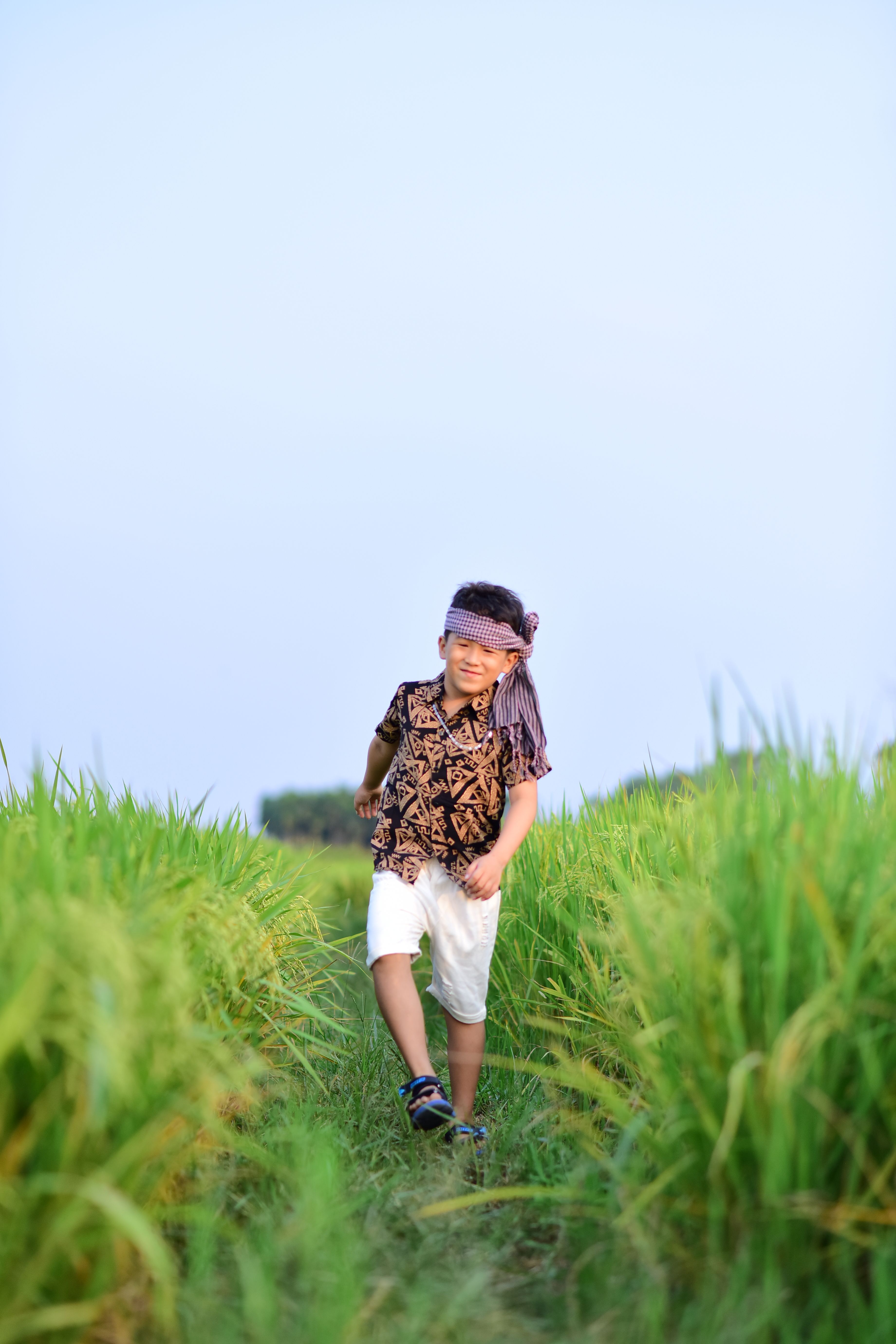 Young Boy Walking Through a Lush Green Rice Field · Free Stock Photo