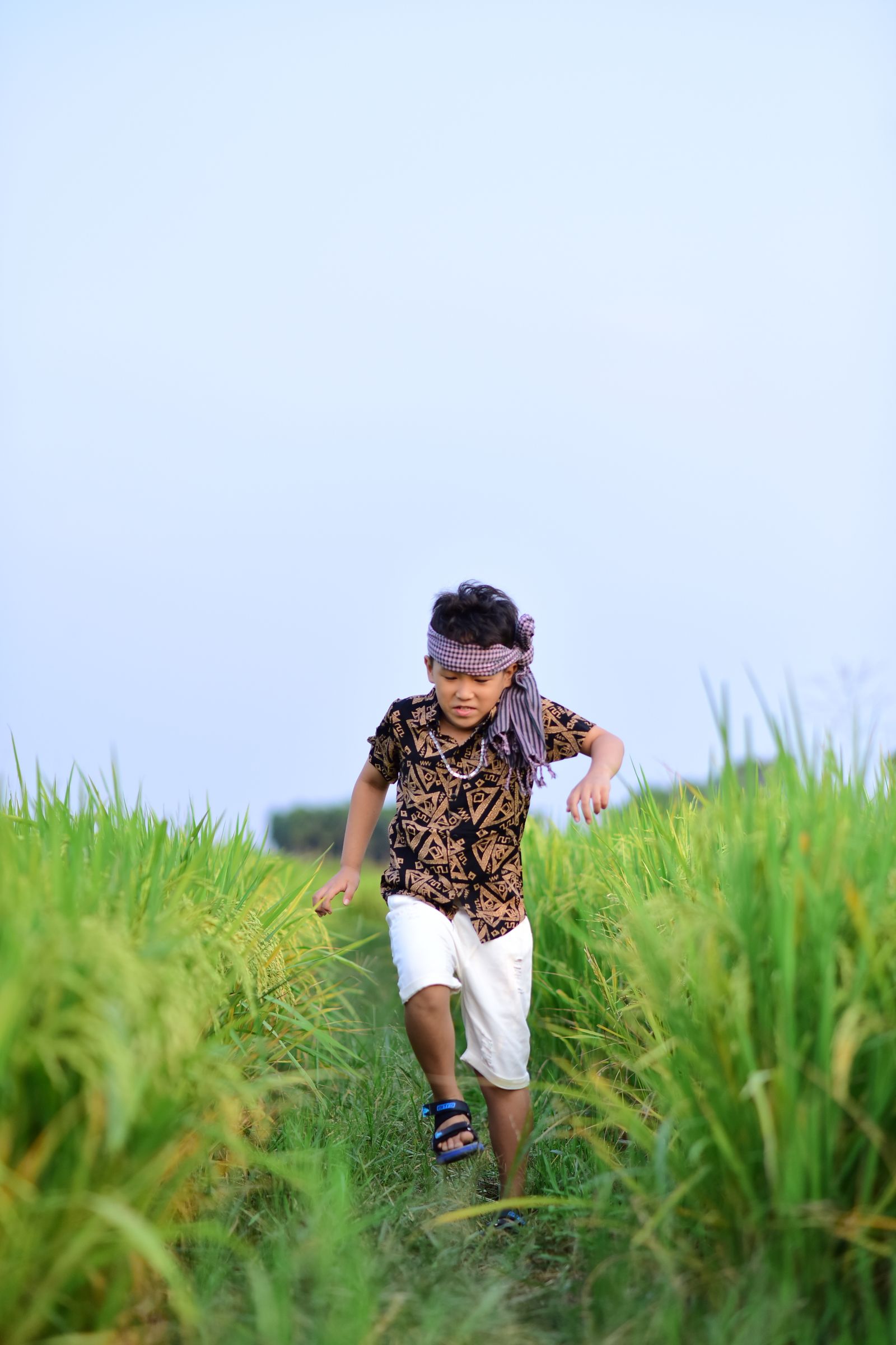 Young Boy Harvesting Rice in Lush Field · Free Stock Photo