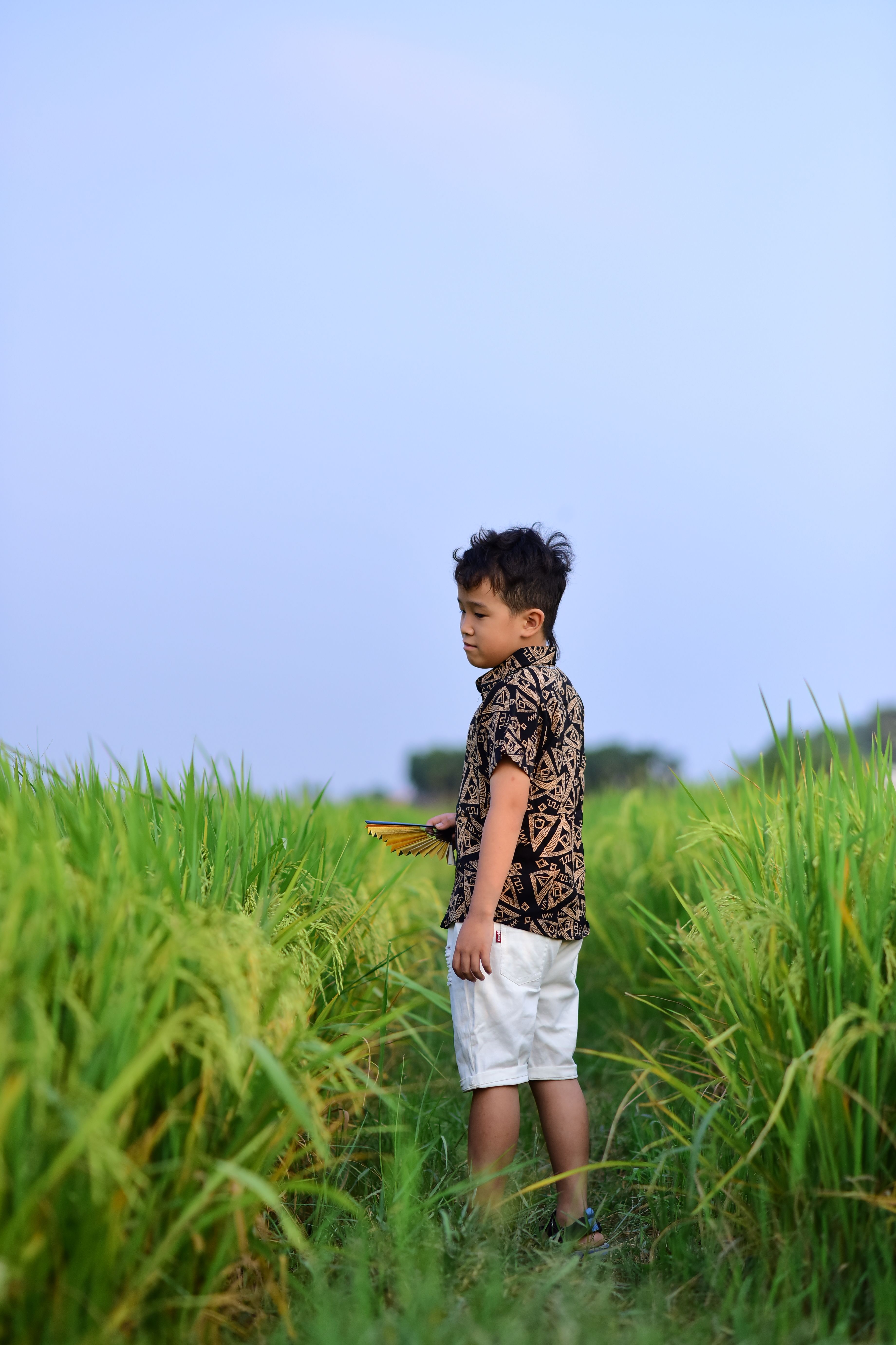Boy in Traditional Shirt Standing in Rice Field · Free Stock Photo
