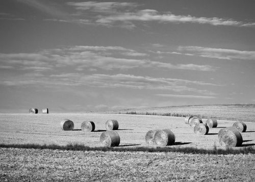 Free Monochrome image of a vast field with hay bales under a cloudy sky. Stock Photo