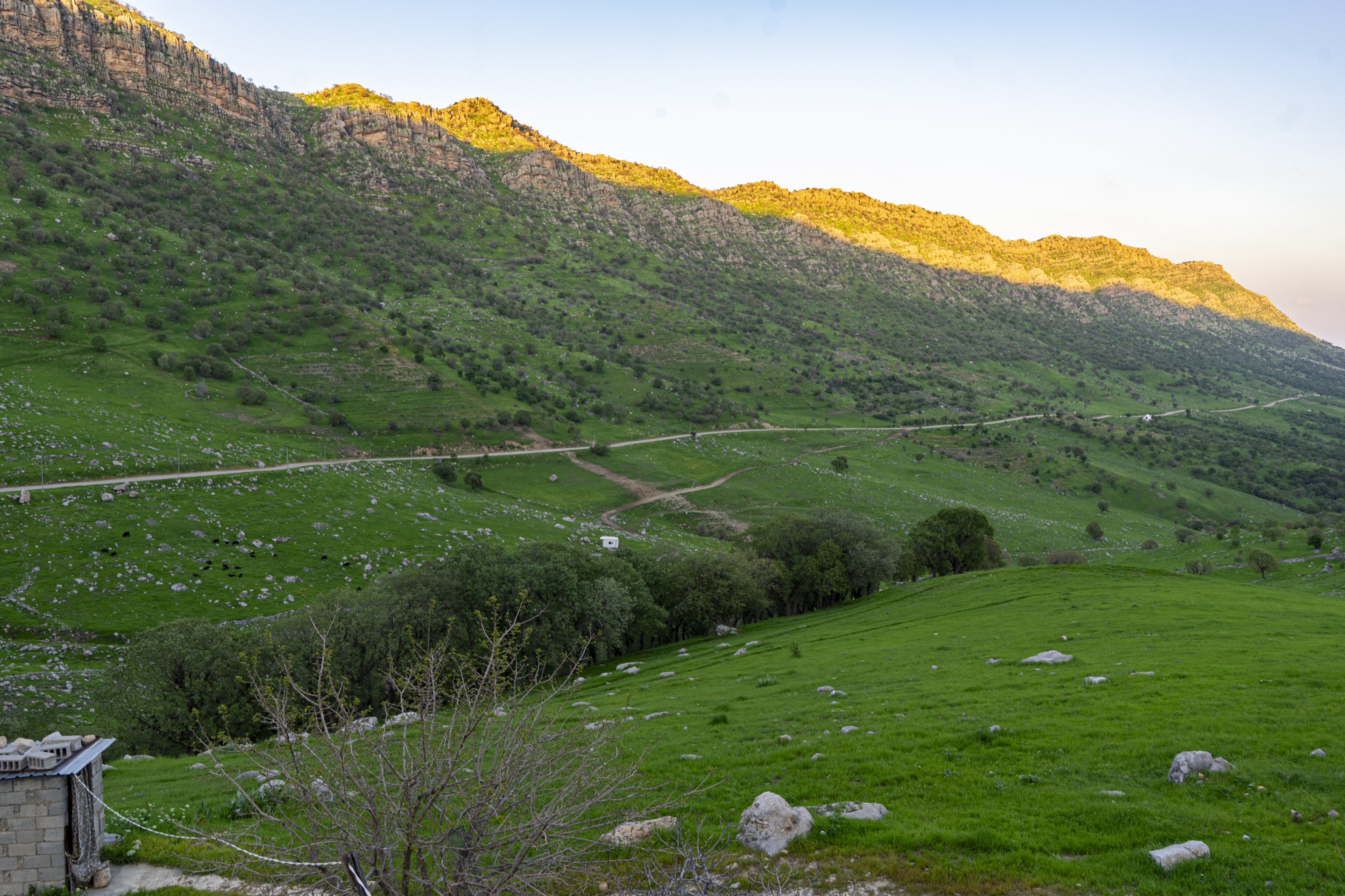 Paysage iranien avec montagnes et vallée au coucher du soleil