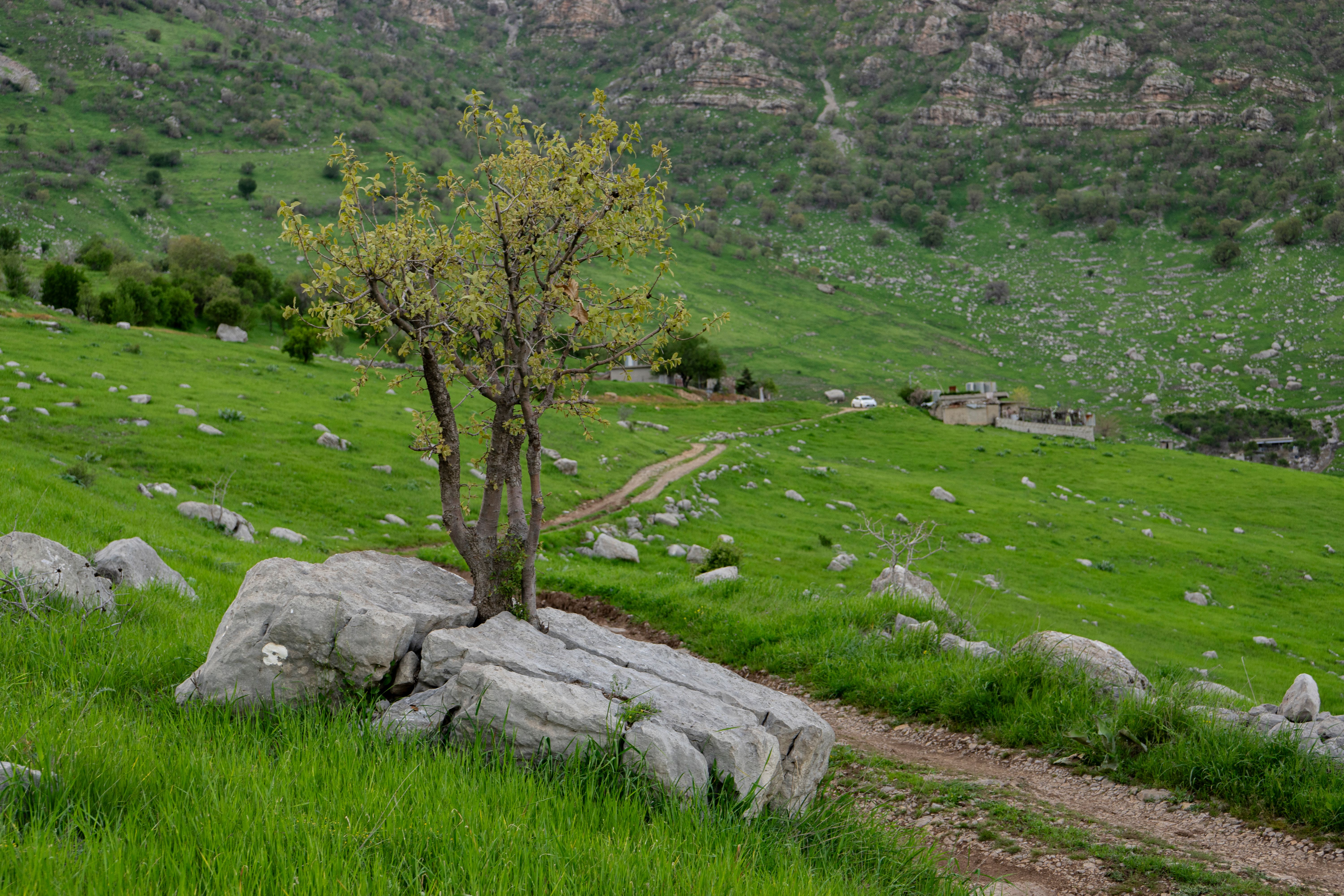 Iraq