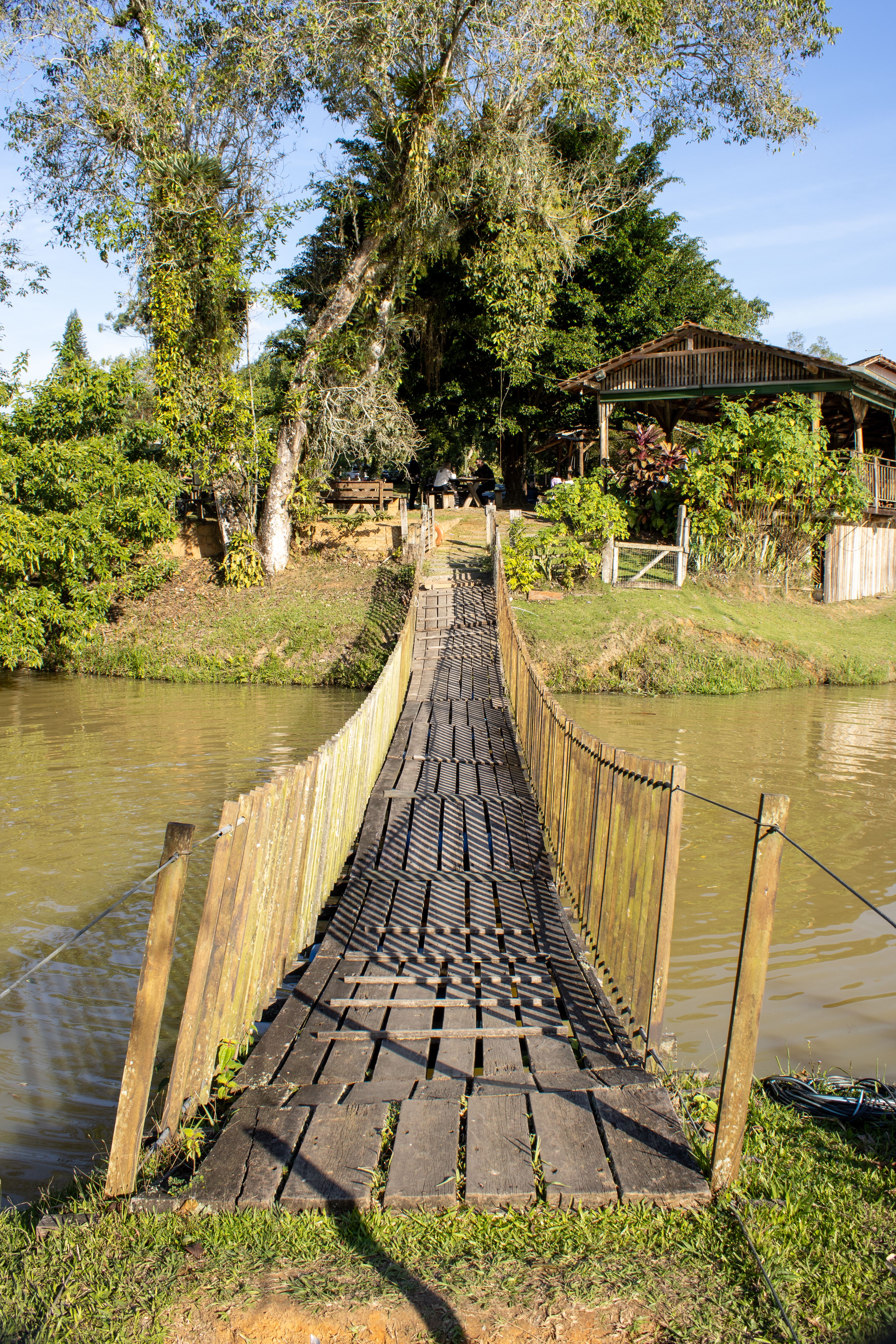 Rustic Wooden Suspended Bridge over Tranquil River · Free Stock Photo