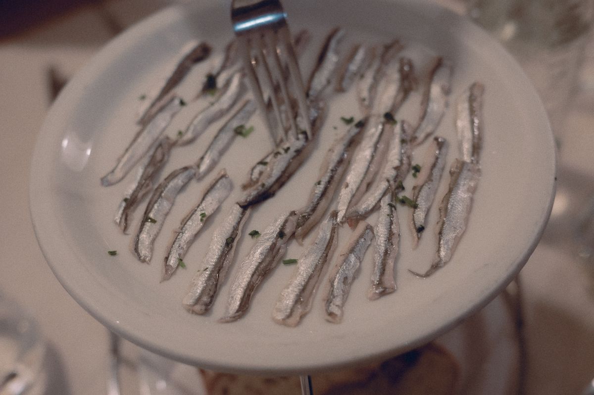 Alici marinate disposte in file su un piatto bianco