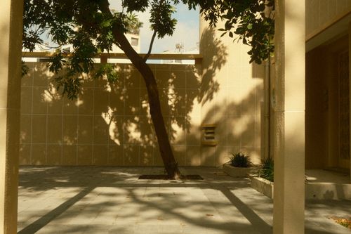 Free Serene courtyard in Ho Chi Minh City with tree shadows cast on neoclassical architecture. Stock Photo