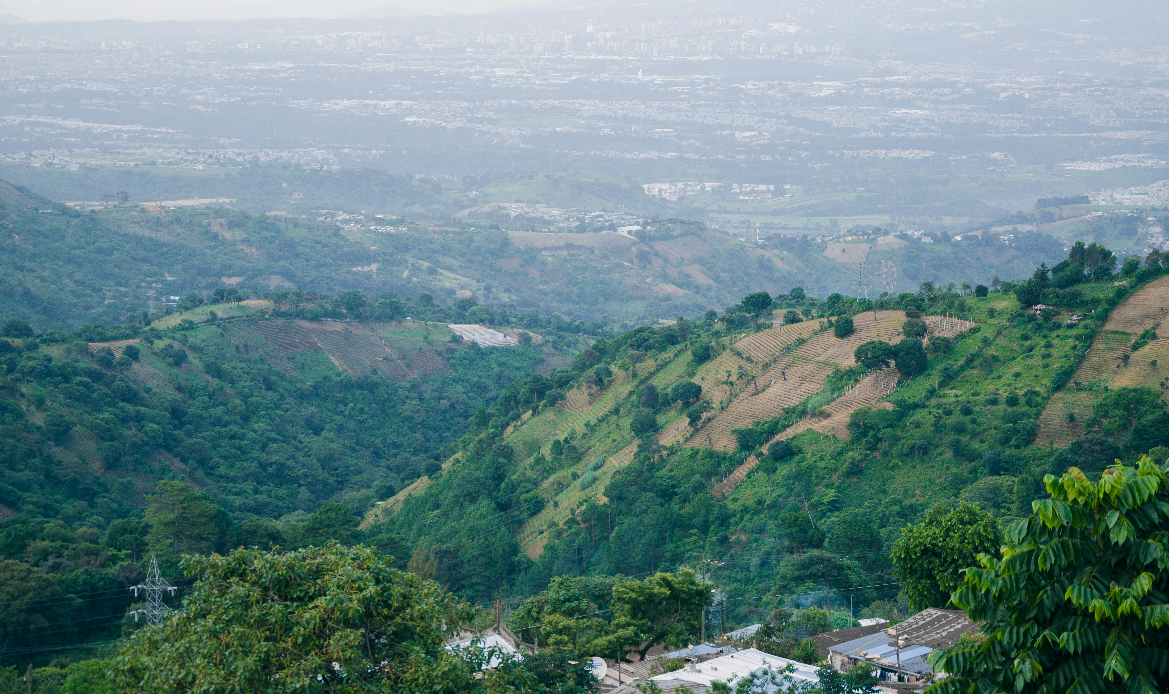 Free stock photo of farm, hillside, land