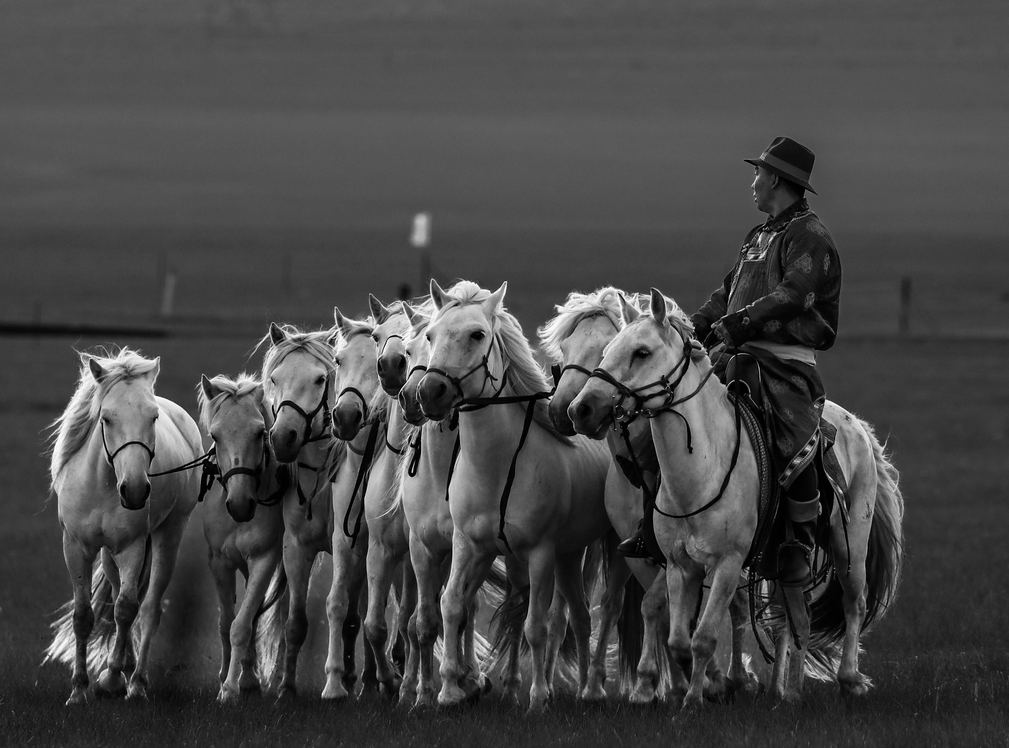 Türkiye’s population prefers Western lifestyle, survey shows — Photo by shuping zhao on Pexels