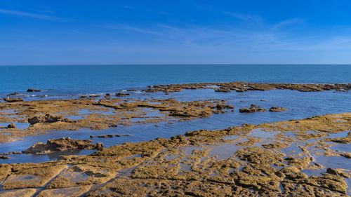 Free Rocky shorelines of Cádiz, Spain with a vast blue sky and calm sea backdrop. Stock Photo