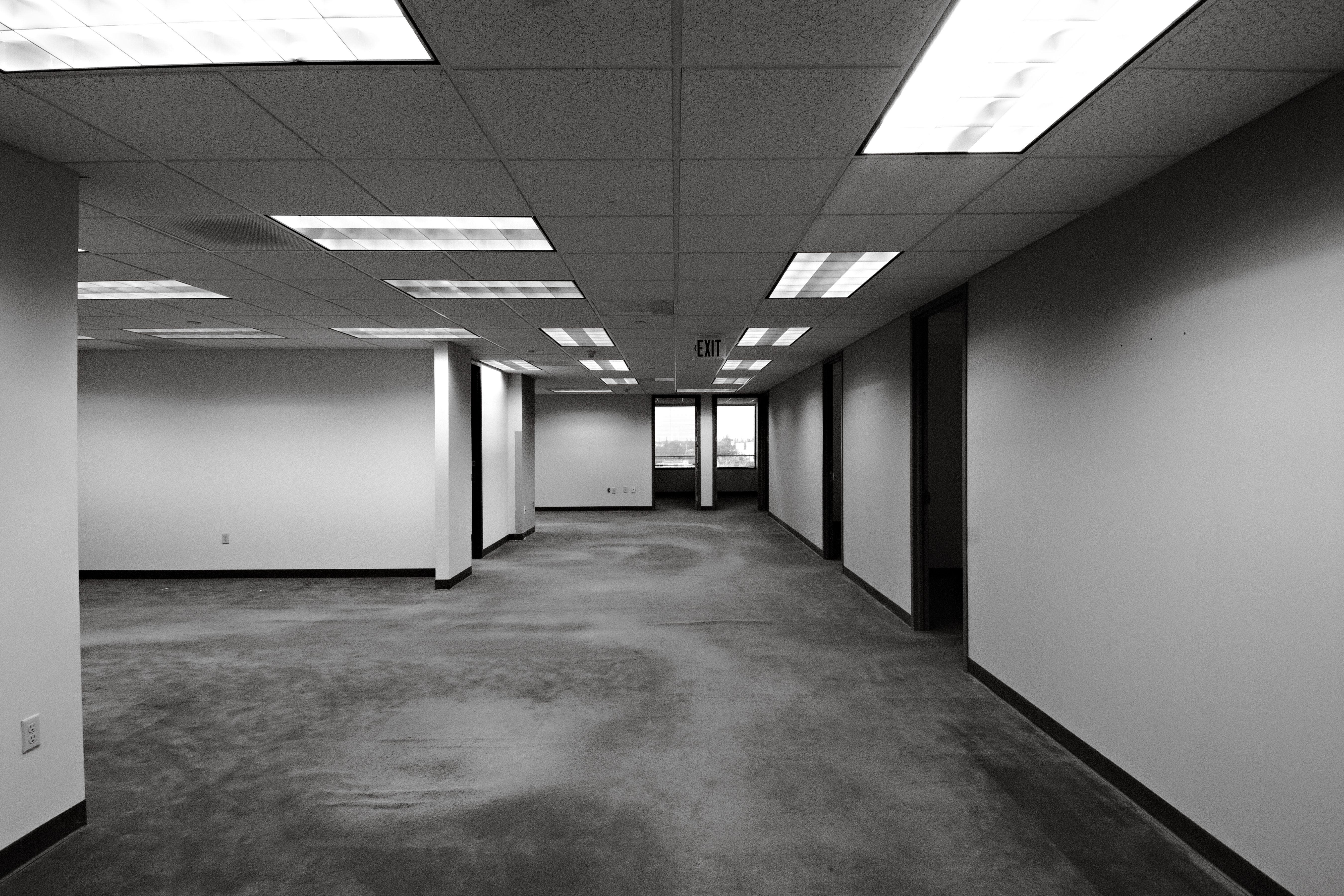 Commercial office space with newly installed carpet flooring