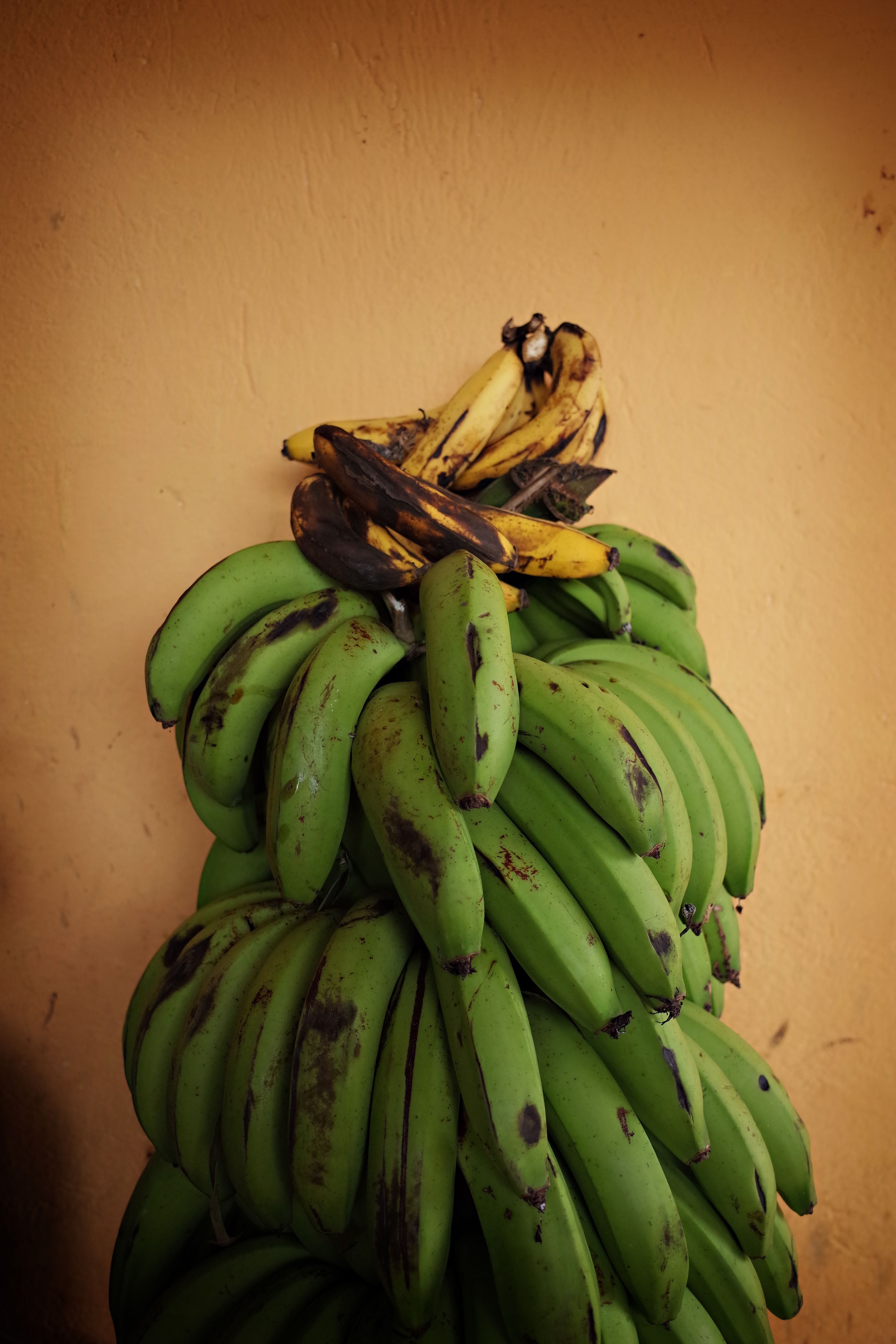 Fotomural Un montón de plátanos verdes y maduros apoyados contra una pared texturizada, creando un vibrante contraste natural.