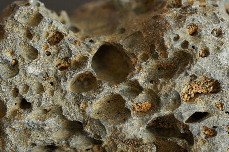 Close-up of a porous volcanic rock surface