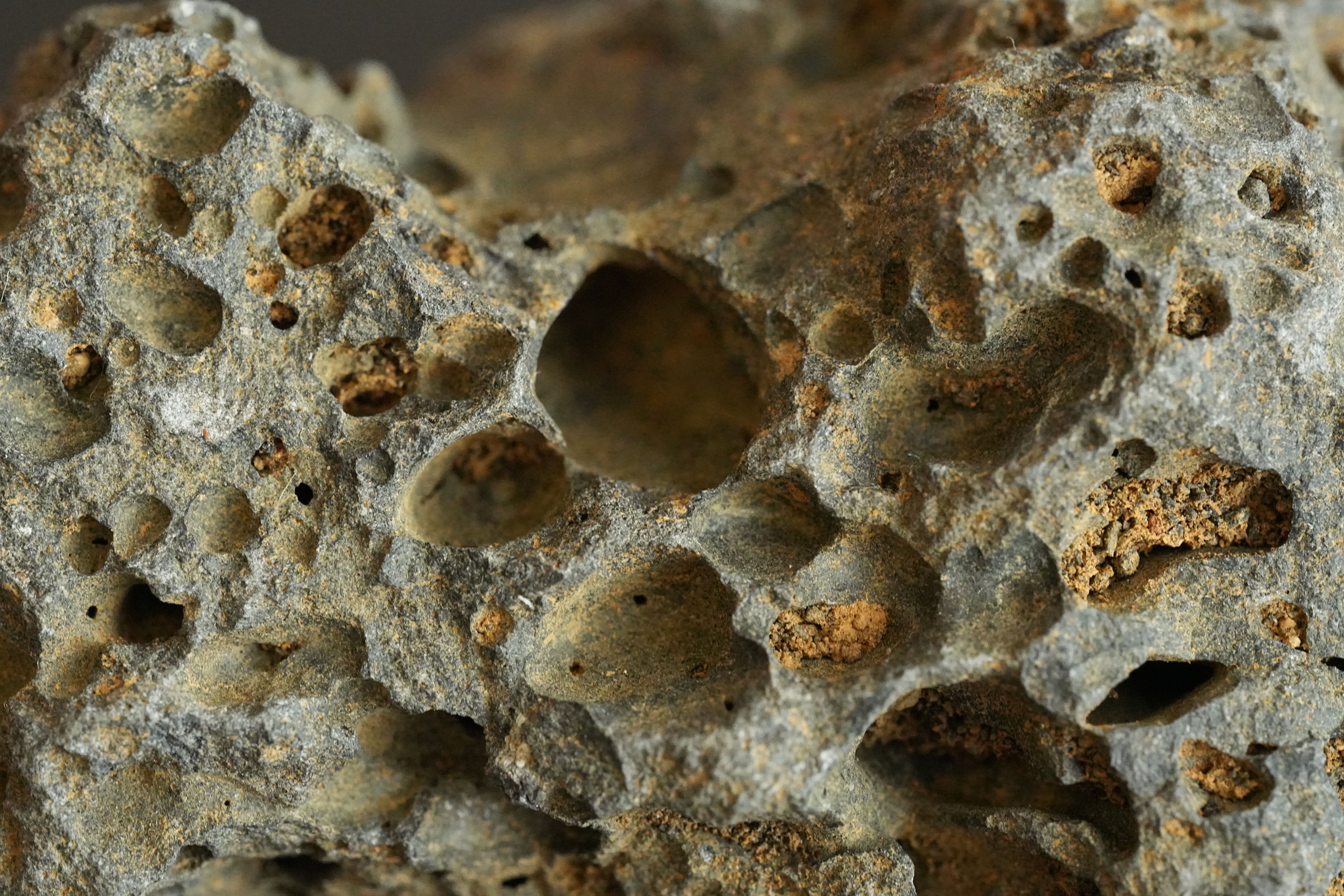 Close-Up View of Porous Volcanic Rock Surface · Free Stock Photo