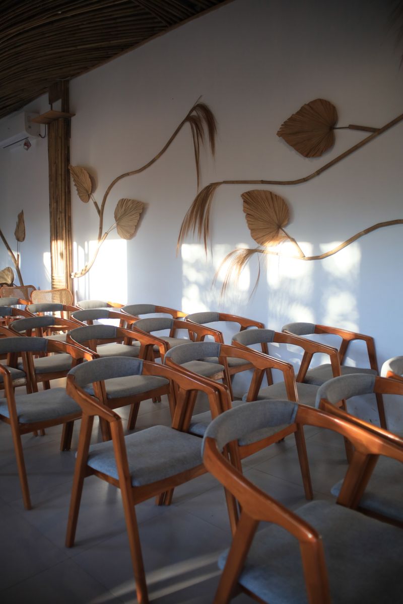 Elegant indoor seating with wooden chairs and natural wall decor in soft sunlight.