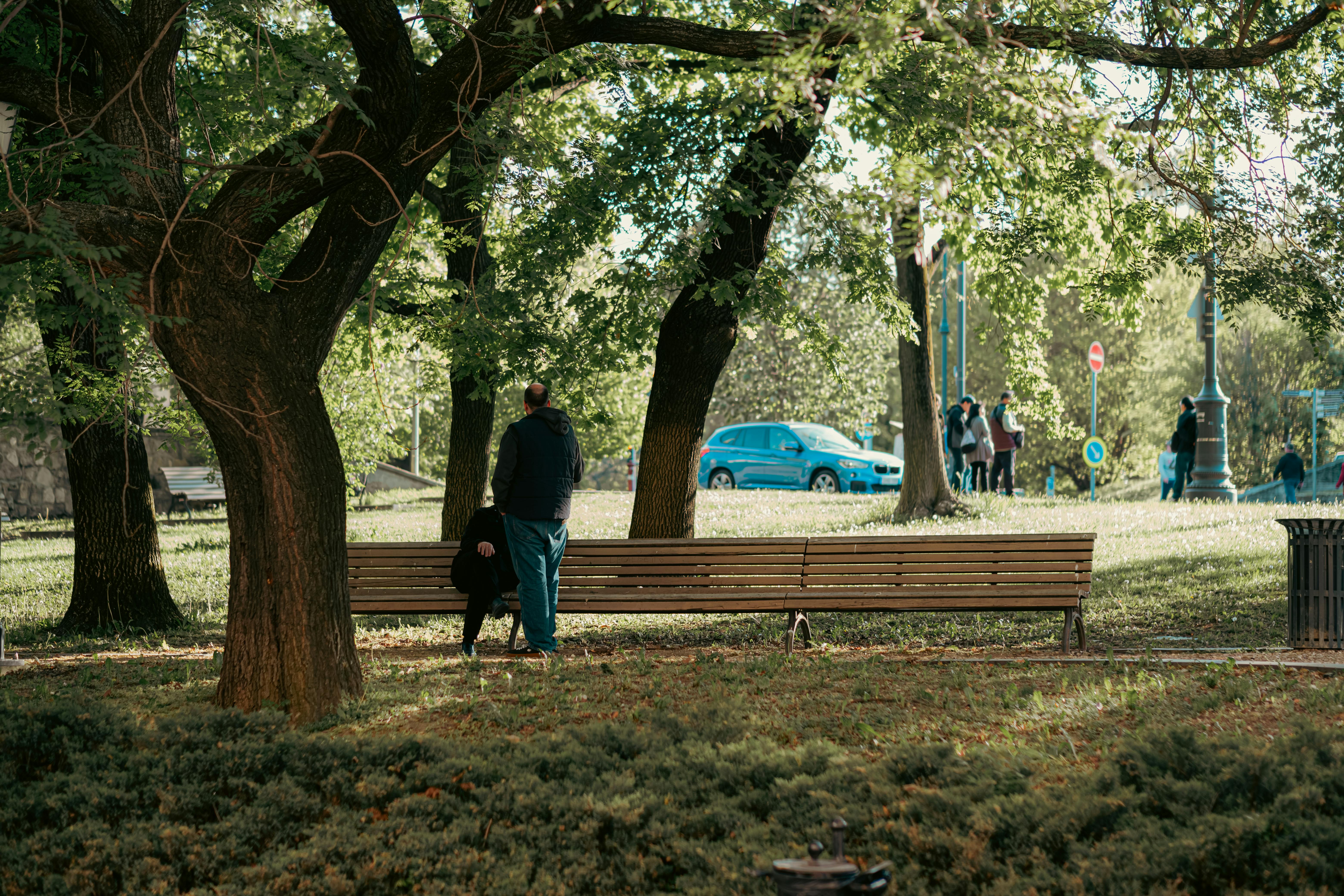 A serene scene in a Budapest park captures a man and child sitting on a bench under lush trees.