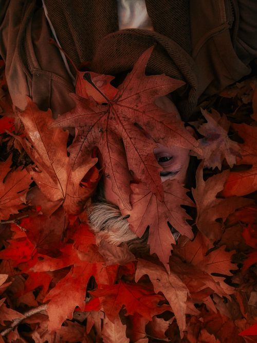Free A person partially hidden under a blanket of autumn leaves. Stock Photo