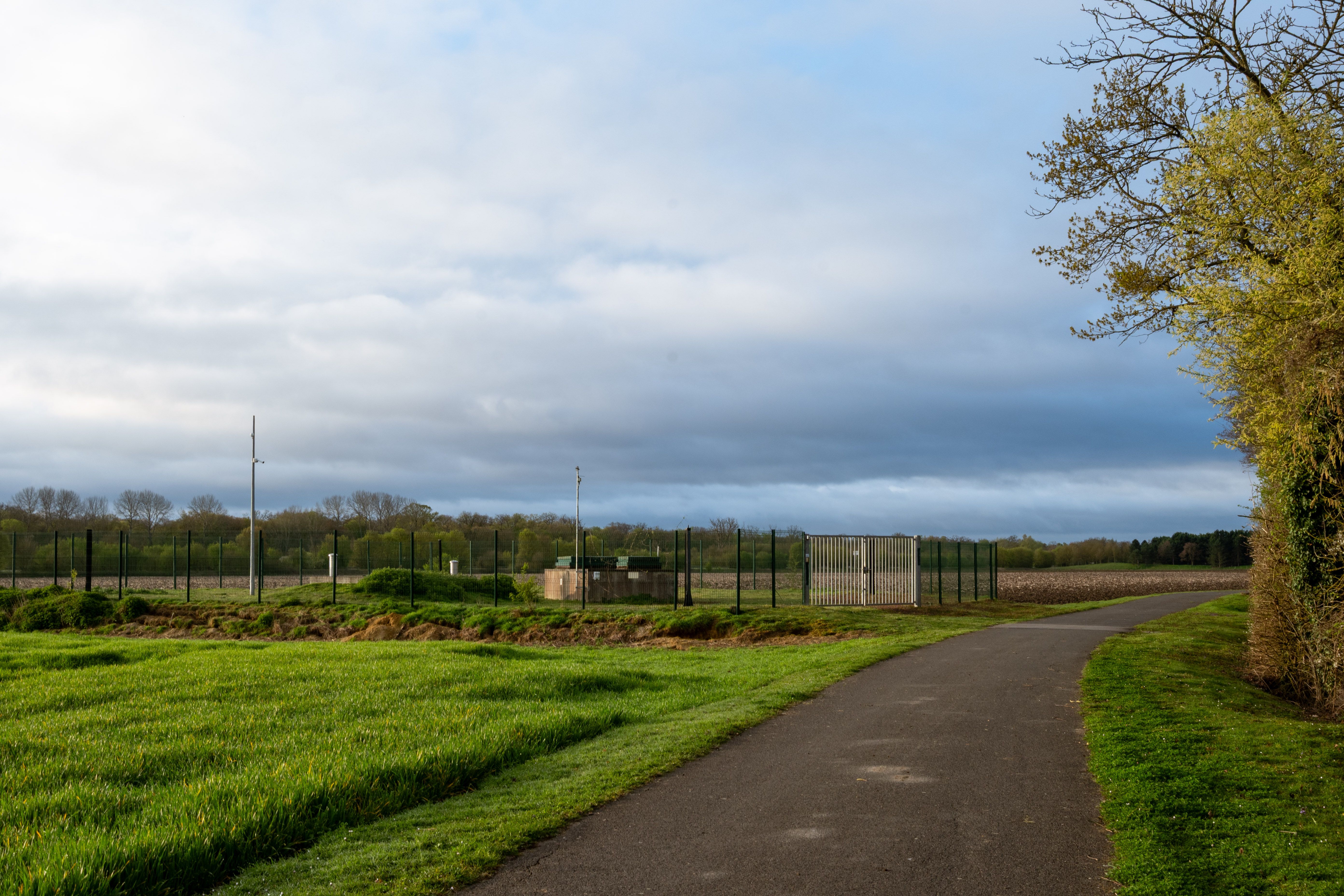 Rural Pathway through Lush Green Field · Free Stock Photo