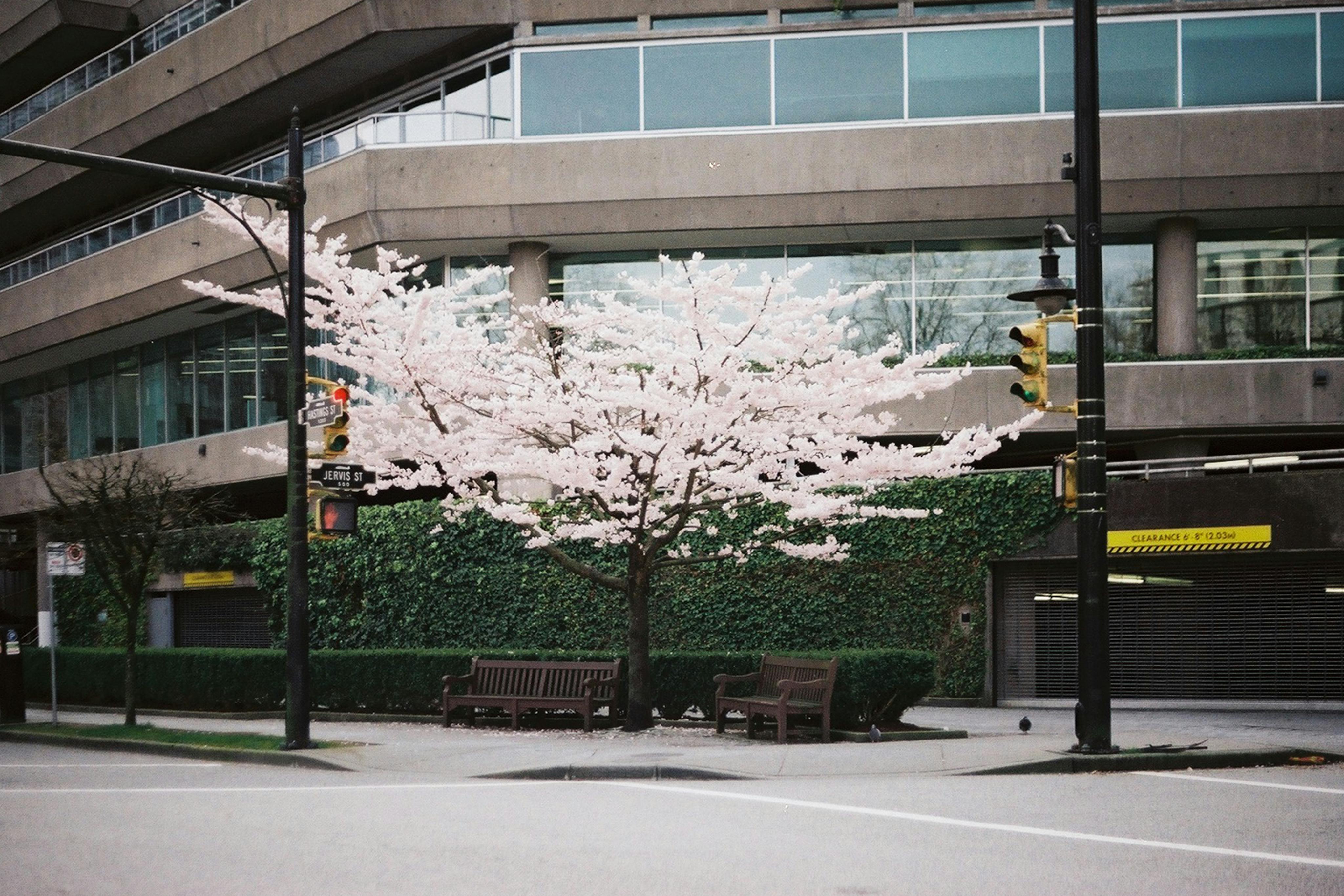 Vancouver city councillor proposes new tools to hold bad-faith rental housing landlords accountable — Photo by Farnaz Kohankh