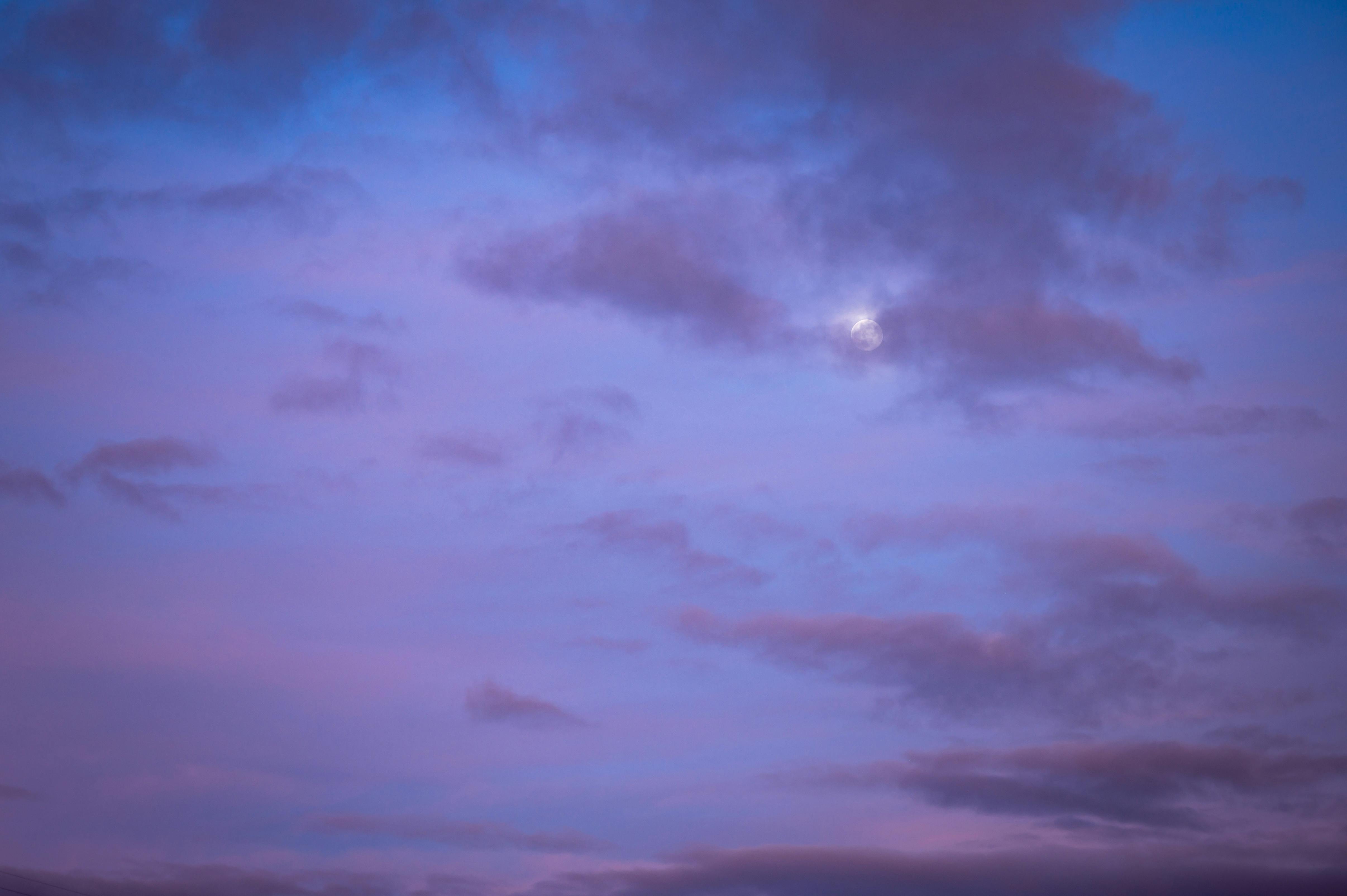 spids vej matron Purple Sky Photos, Download The BEST Free Purple Sky Stock Photos & HD  Images