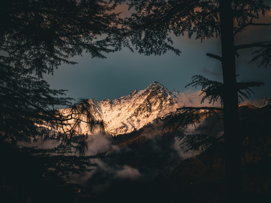 McLeodganj & Dharamshala photo 7