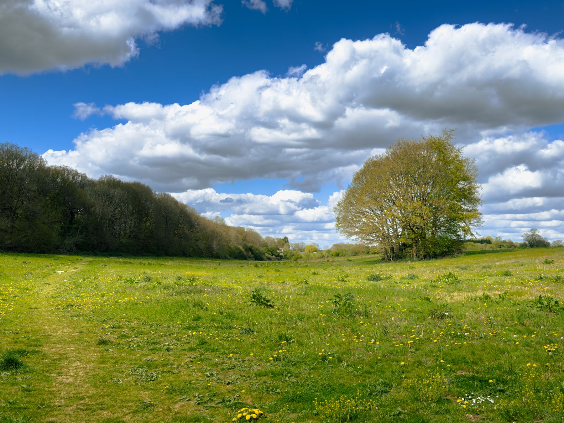 Caversham's Hilltop Views and Meadow Walks: A Half-Day Plan