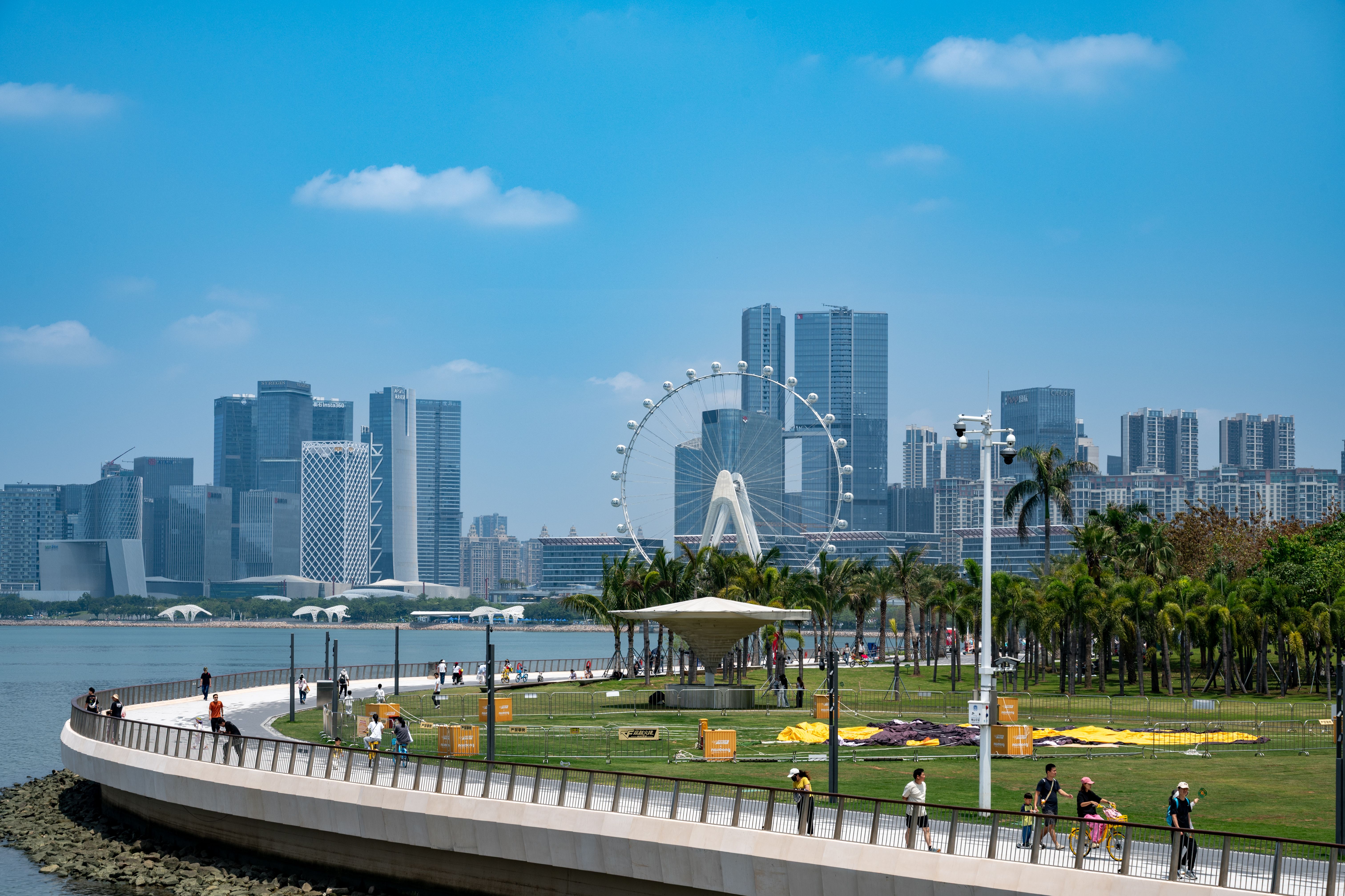 Shenzhen Futian Mangrove Wetland Guide: Birdwatching and Urban Nature