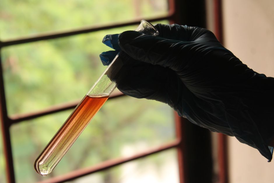 Close-up of a gloved hand holding a test tube with brown liquid against a window in a laboratory setting.