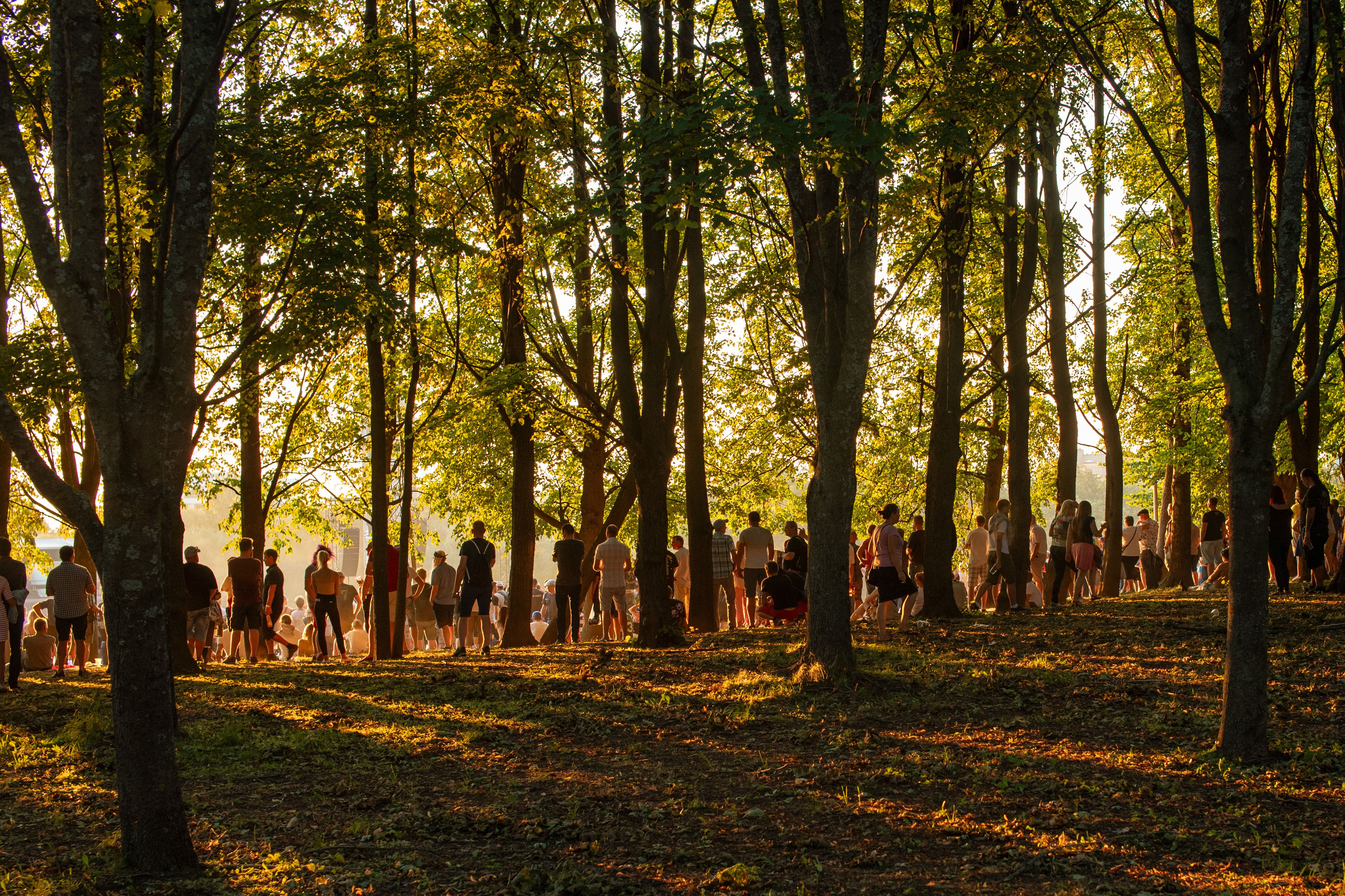 Time your trip for Folk Music Festival