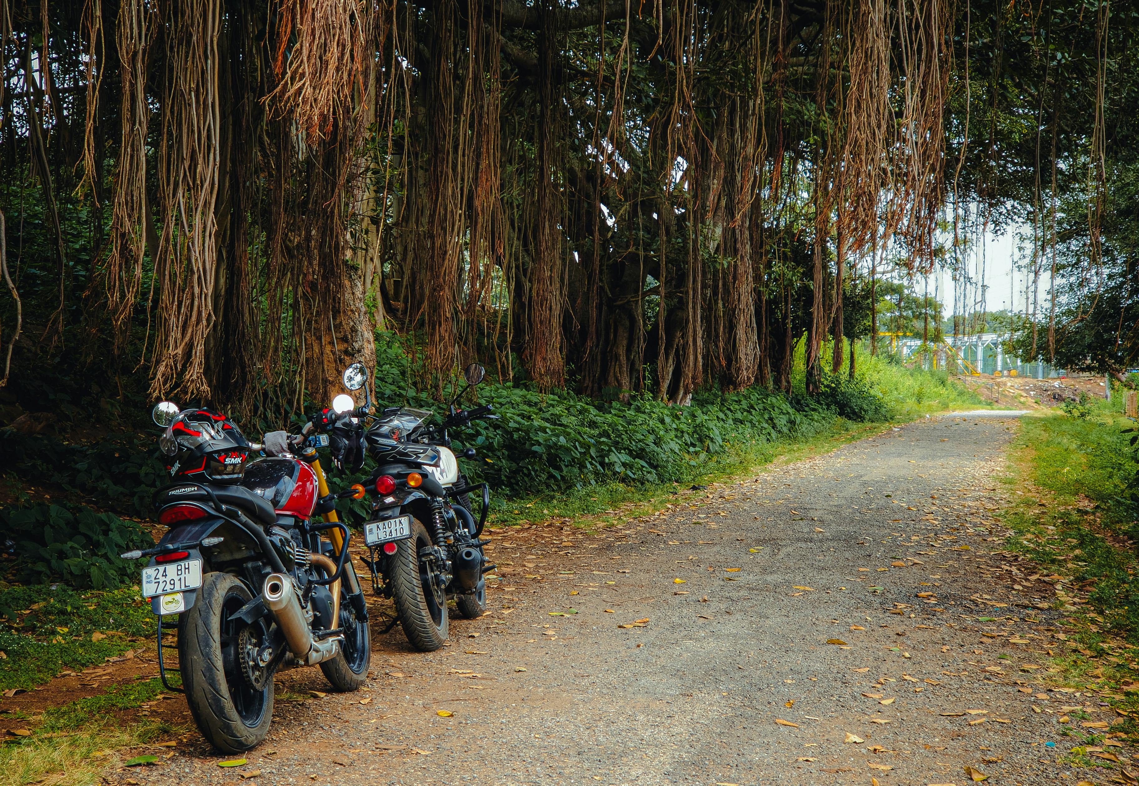 Diverse Array of Honda Motorcycles Returning for New Model Years — Photo by Prasang Yadav on Pexels