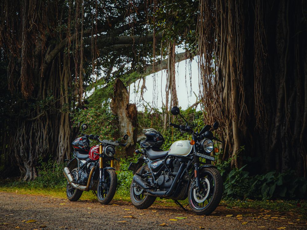Spring Over Tree Motorcycle Motorcycles Parked Under a Large Banyan Tree · Free Stock Photo
