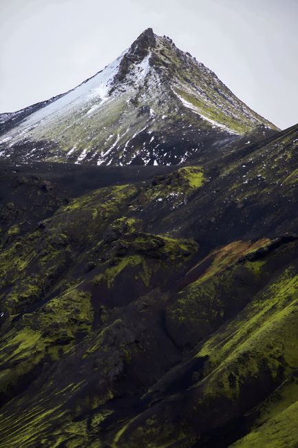 A dramatic view of a snow-capped volcanic mountain peak in Iceland, featuring lush green moss and rugged terrain.