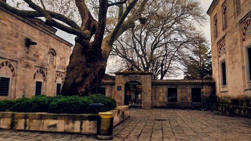 Free Charming historic courtyard with an ancient tree amidst old stone buildings. Stock Photo