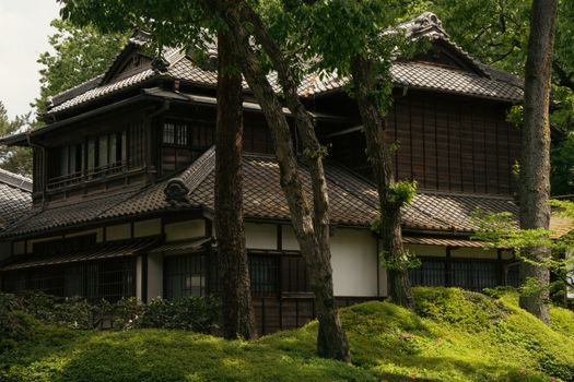 A serene traditional Japanese wooden house surrounded by lush greenery in Tokyo.