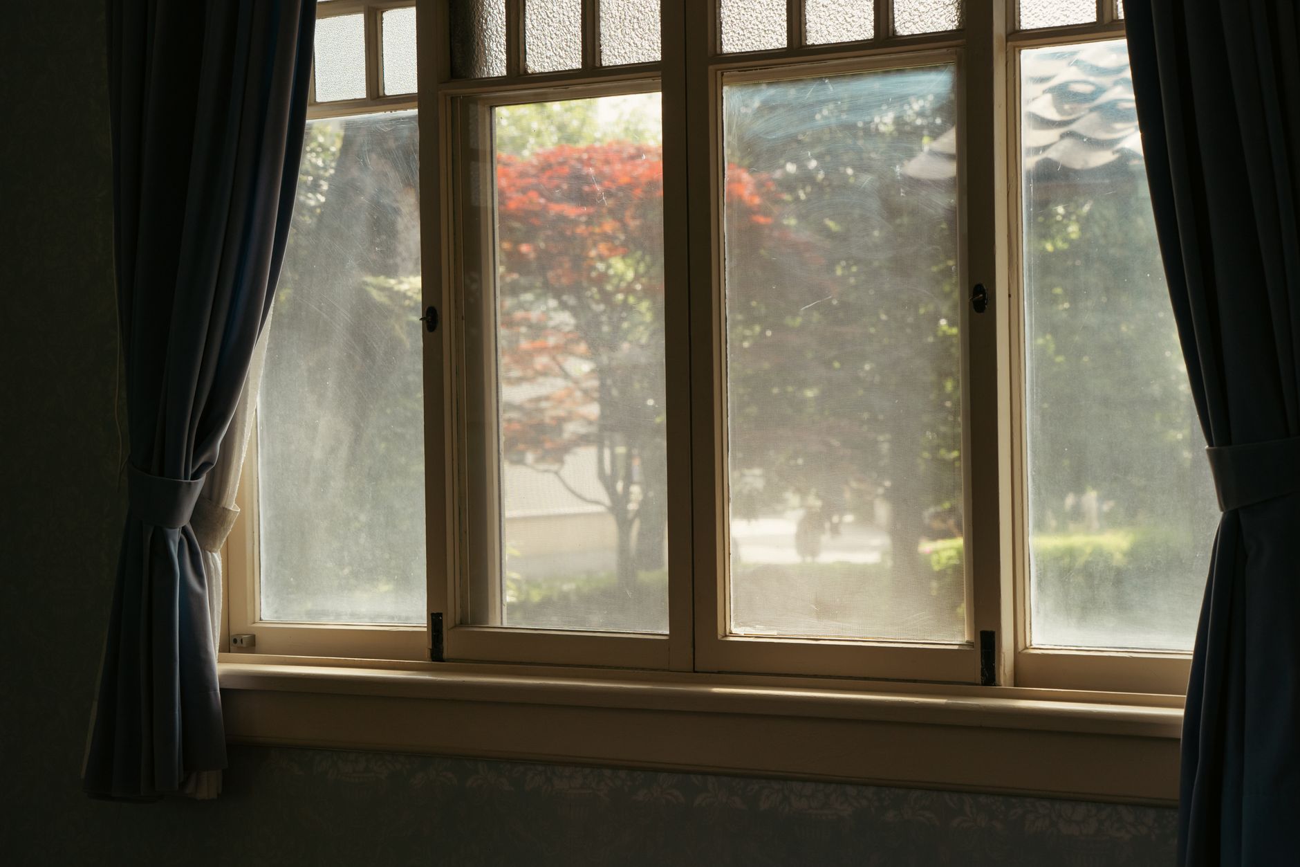 Calm interior view of a garden through a sunlit window in Tokyo home.