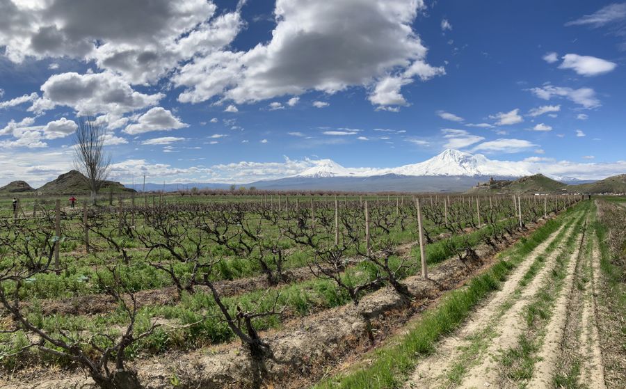 Armenia
