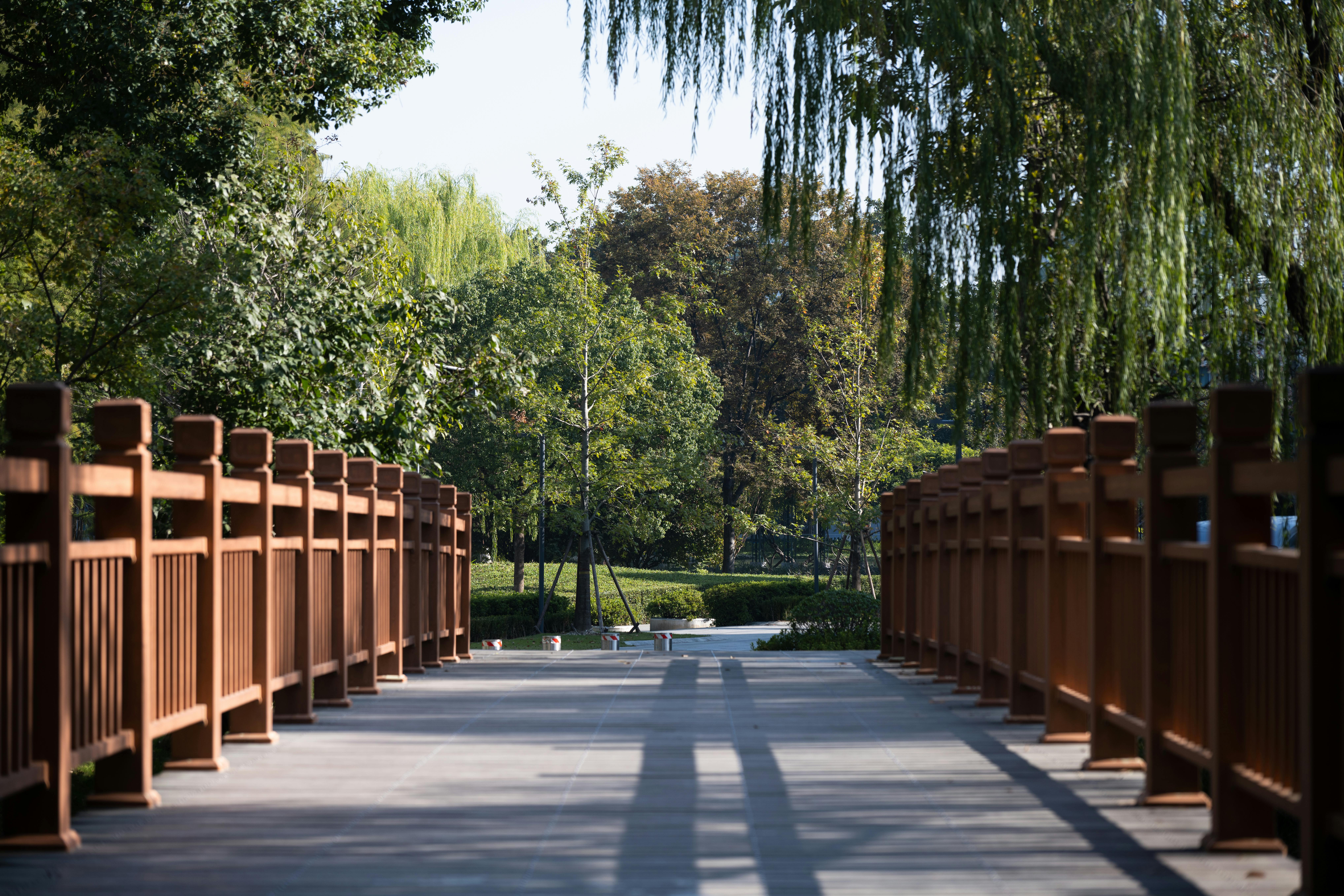 Un chemin paisible sur un pont de bois dans un parc verdoyant sous un ciel dégagé.