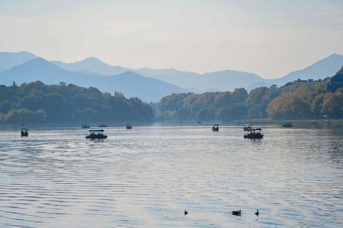 Free Tranquil scene of a lake with boats, ducks, and misty mountains in the background. Stock Photo