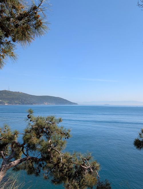 Free Peaceful seascape featuring blue waters, distant hills, and lush trees under a clear sky. Stock Photo