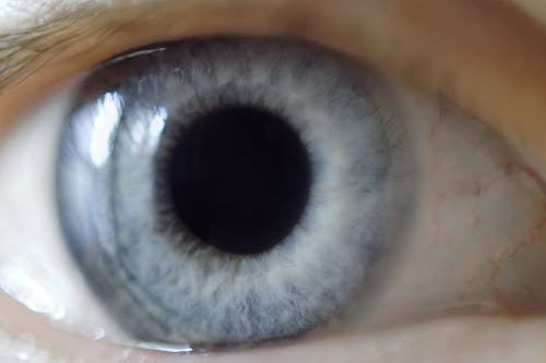 Free stock photo of baeutiful eyes, big eyes, blue eyes