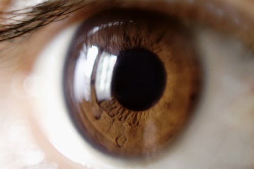 Základová fotografie zdarma na téma baeutiful oči, brunetka, detail