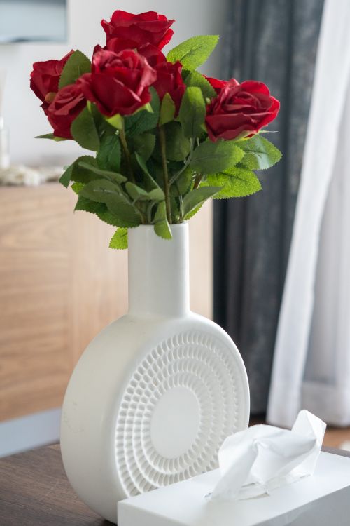 Free Beautiful red roses displayed in a stylish white vase indoors, offering elegance and freshness. Stock Photo