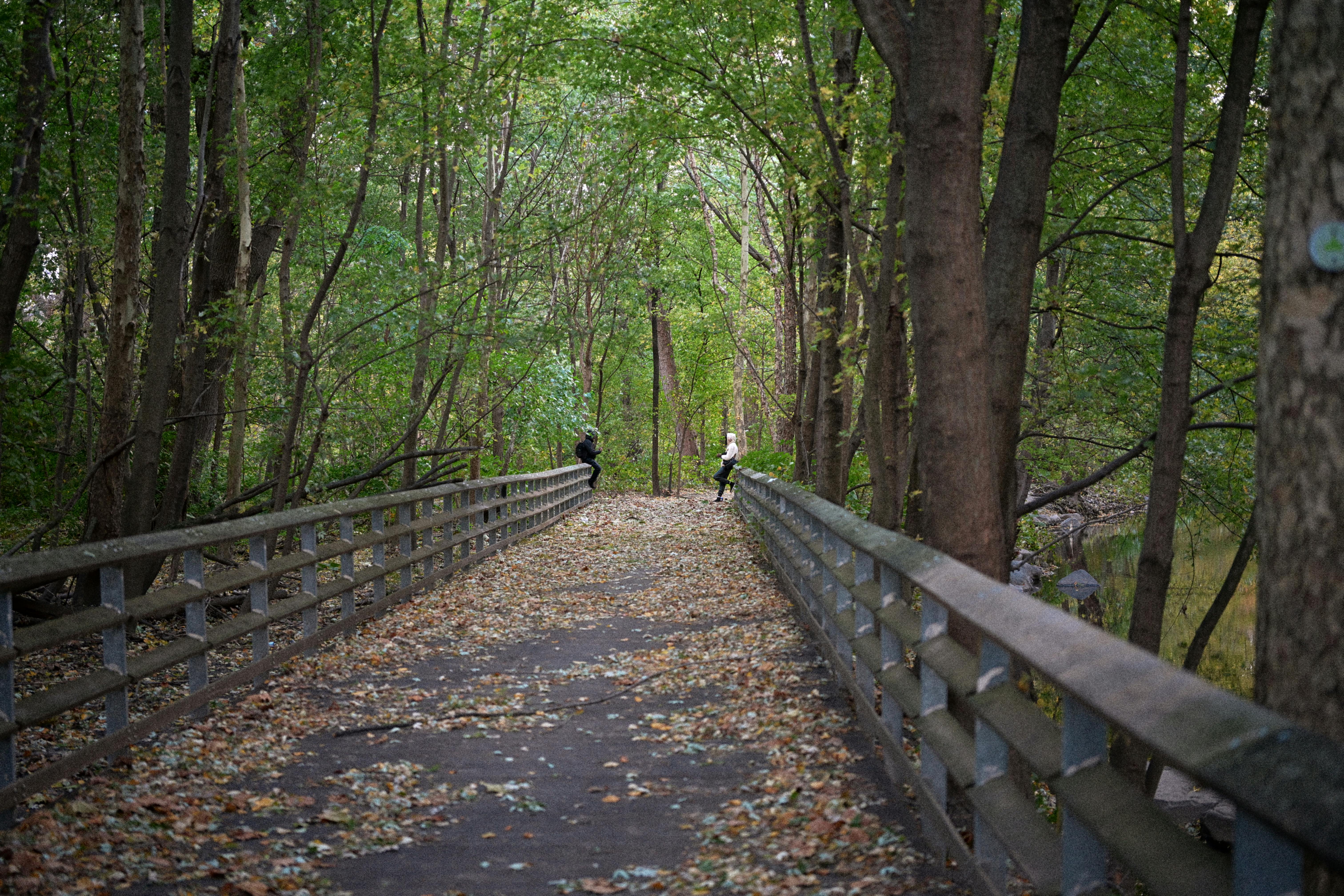 DuPage Forest Preserve executive director leaving for city manager job in Florida — Photo by b ch on Pexels