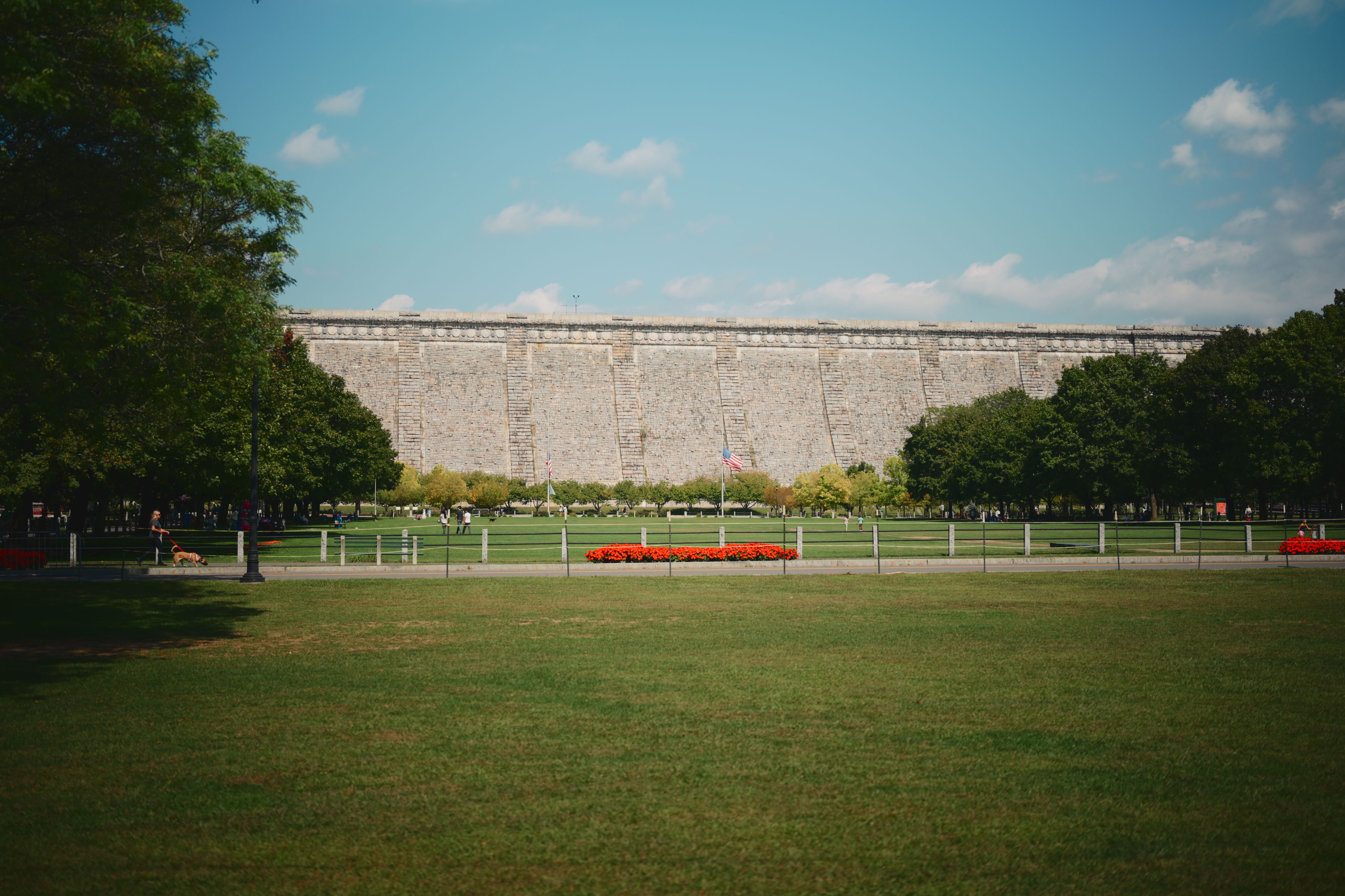 Free public park with picnic tables and open lawn on a summer afternoon