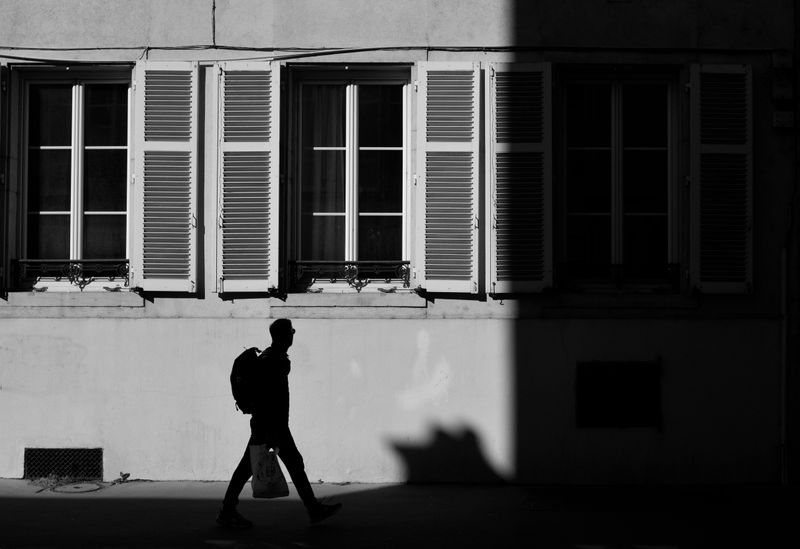 person taking a photo of a tree or street scene on a phone