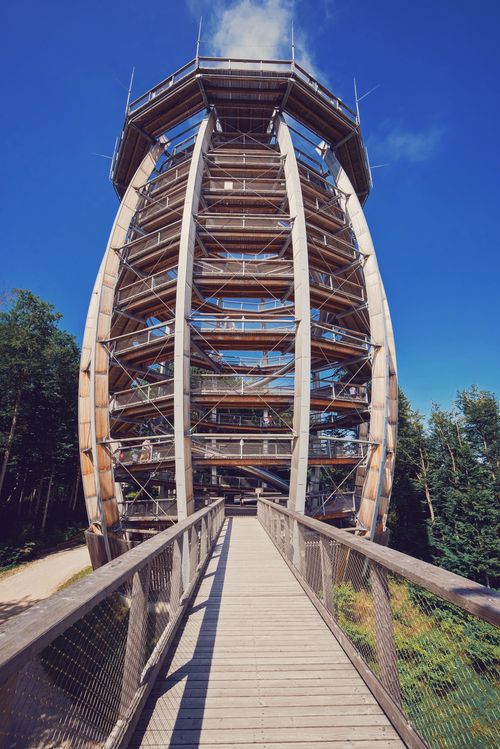 Free A striking wooden observation tower rises amidst lush greenery under a clear blue sky. Stock Photo