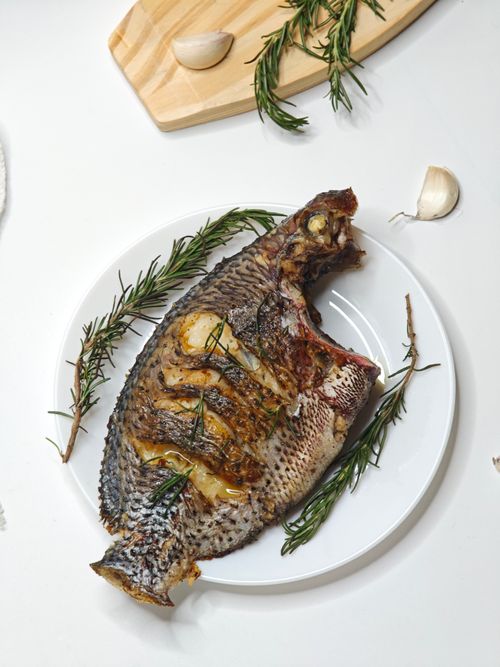 Free Aromatic grilled tilapia garnished with rosemary and garlic on a white plate. Stock Photo