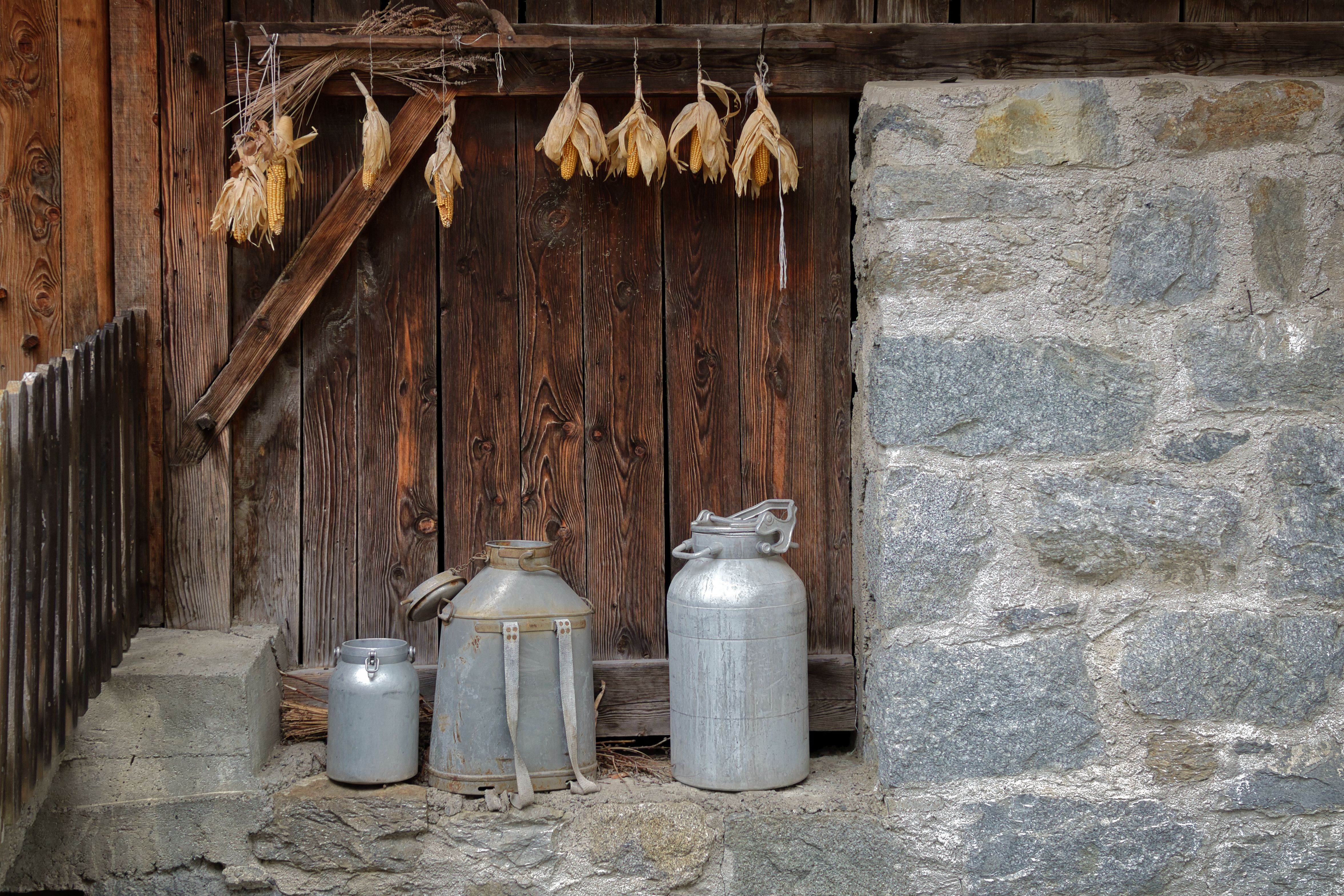 Vintage milk cans on a rustic backdrop with hanging corn in Schenna, Italy, showcasing traditional rural charm.